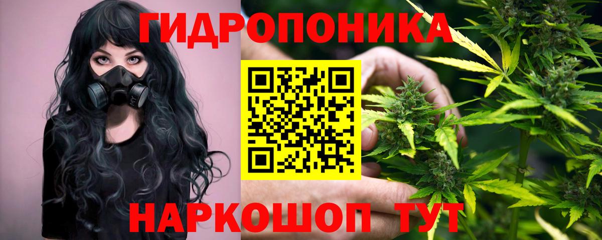 Бошки марихуана конопля  Канабис тримм  Самара  Вход с VPN  Шишки марихуана Bruce Banner 